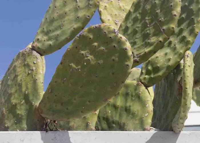 Charming Townhouse - Malta Ferienhaus *