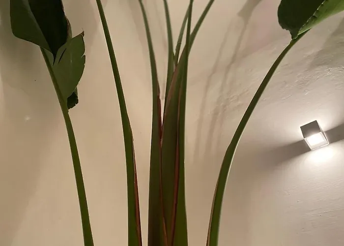 Charming Townhouse - Malta Casa de Férias *