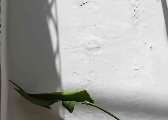 Case de vacanță Charming Townhouse - Malta Naxxar